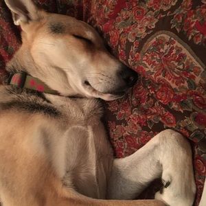 Meet your Posher, Lisa